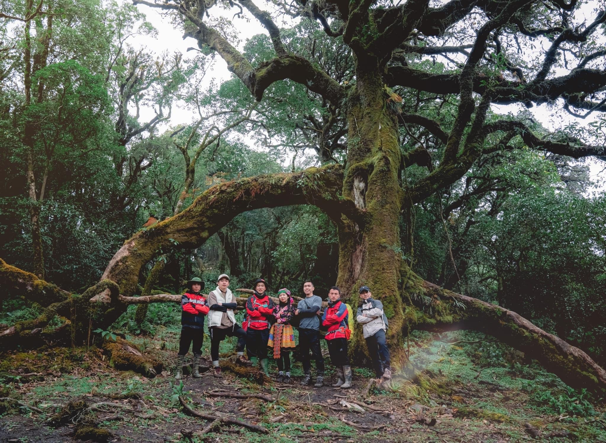 Trekking rừng rêu đẹp ma mị như trong phim Avatar - 15