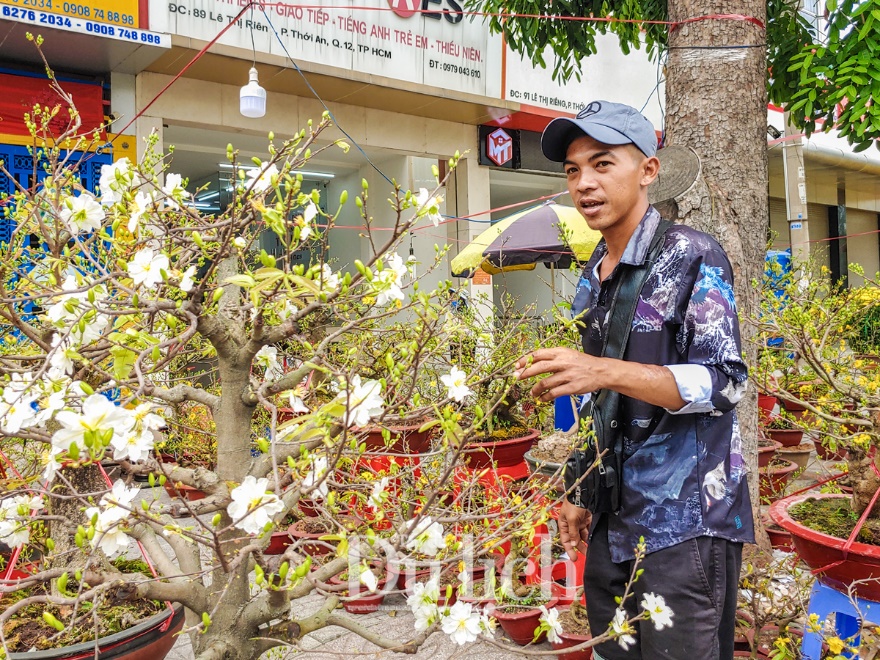Hoa tết giảm giá sâu, chợ hoa xuân vẫn vắng khách mua - 2