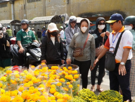 TP.HCM chi 600 triệu mua hơn 9.000 chậu hoa Tết của tiểu thương