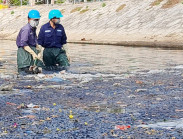 Xử lý môi trường ở đoạn kênh hôi thối khủng khiếp tại Sóc Trăng