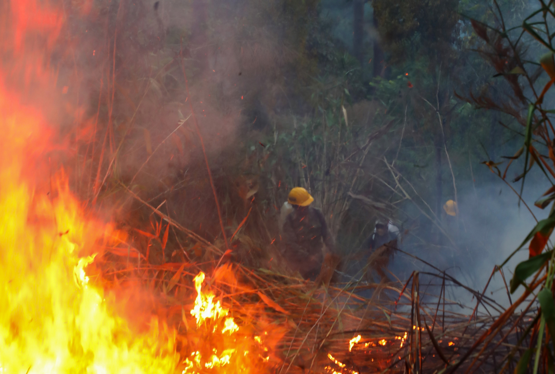 Cỏ khô bên đường bị cháy, lan sang Khu Du lịch hồ Tuyền Lâm - 1