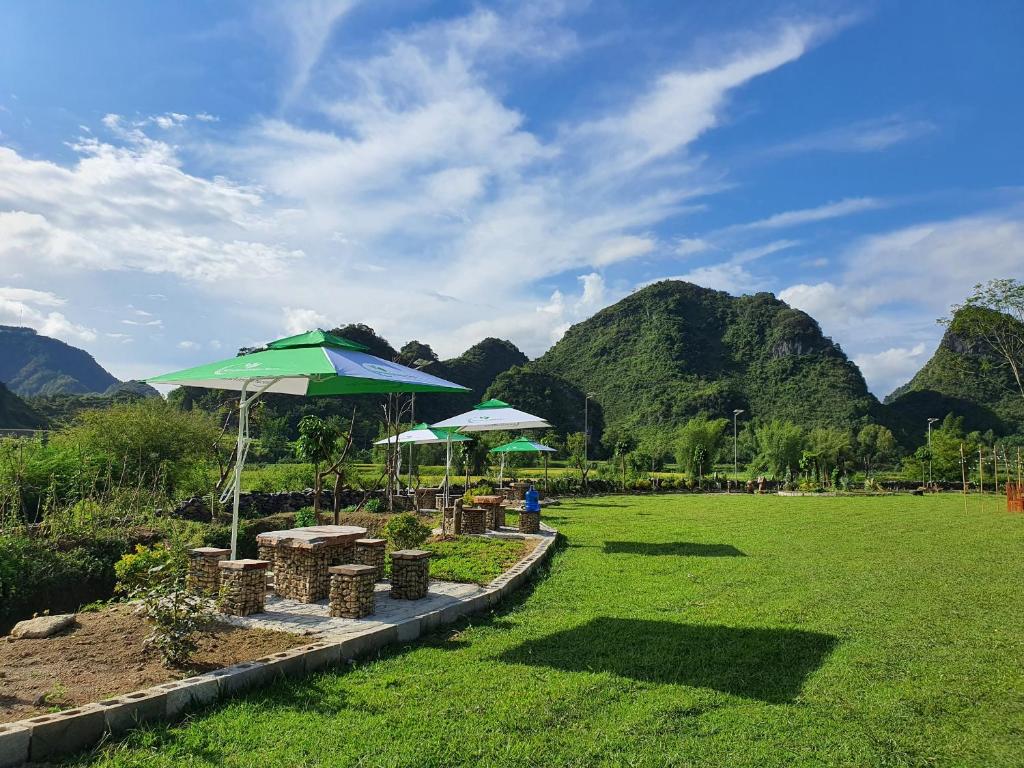 Xu hướng chọn nơi lưu trú trong kỳ nghỉ của du khách Việt - 1