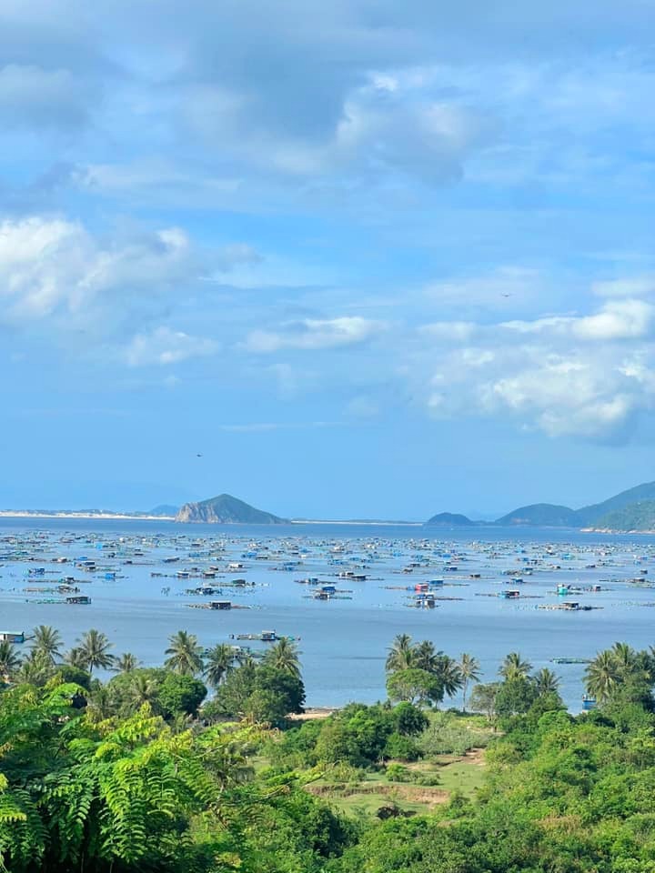 Phú Yên - Quy Nhơn: Hành trình khám phá duyên hải miền Trung - 12