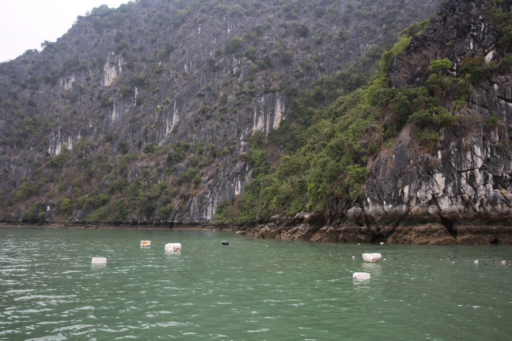 Quảng Ninh: Quyết tâm làm sạch môi trường di sản vịnh Hạ Long - 1
