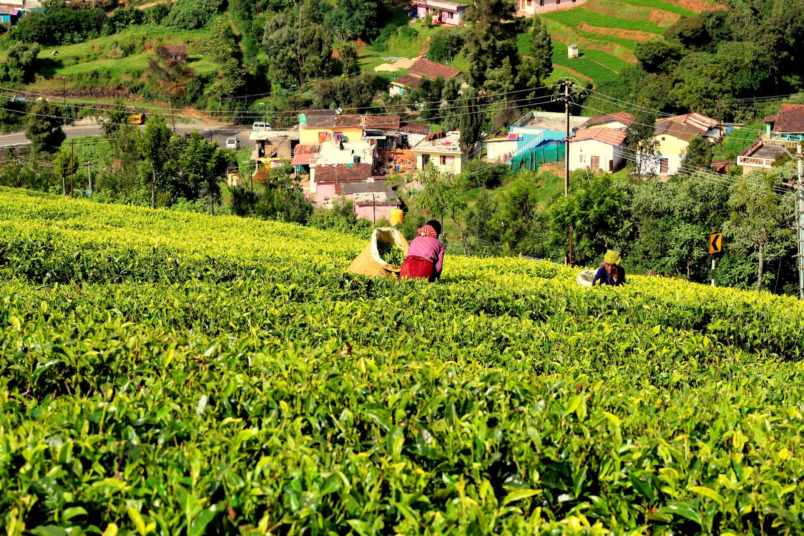 da lat vao danh sach 9 diem du lich thien nhien duoc yeu thich tai chau a - 5