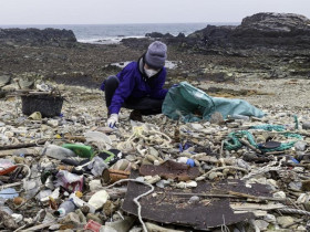 Hội Du lịch Cô Tô dọn rác thải trôi dạt vào bờ biển