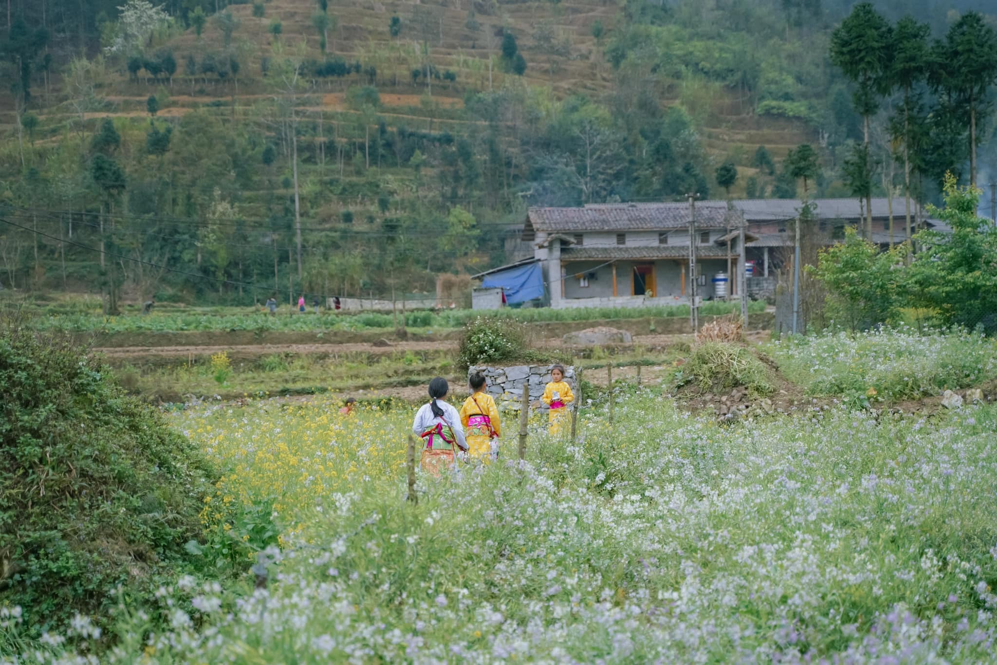 Khám phá Hà Giang: Gặp gỡ những em bé vùng cao hồn nhiên, dễ thương - 5