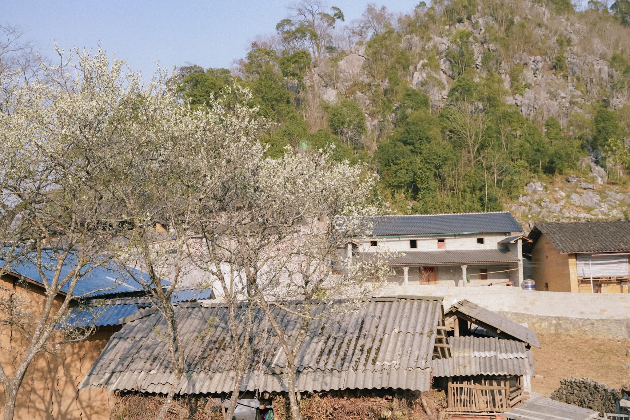 Khám phá Hà Giang: Gặp gỡ những em bé vùng cao hồn nhiên, dễ thương - 13