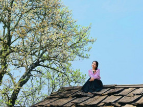 Sự kiện đặc sắc - Du khách leo mái nhà để chụp ảnh cùng hoa sơn tra