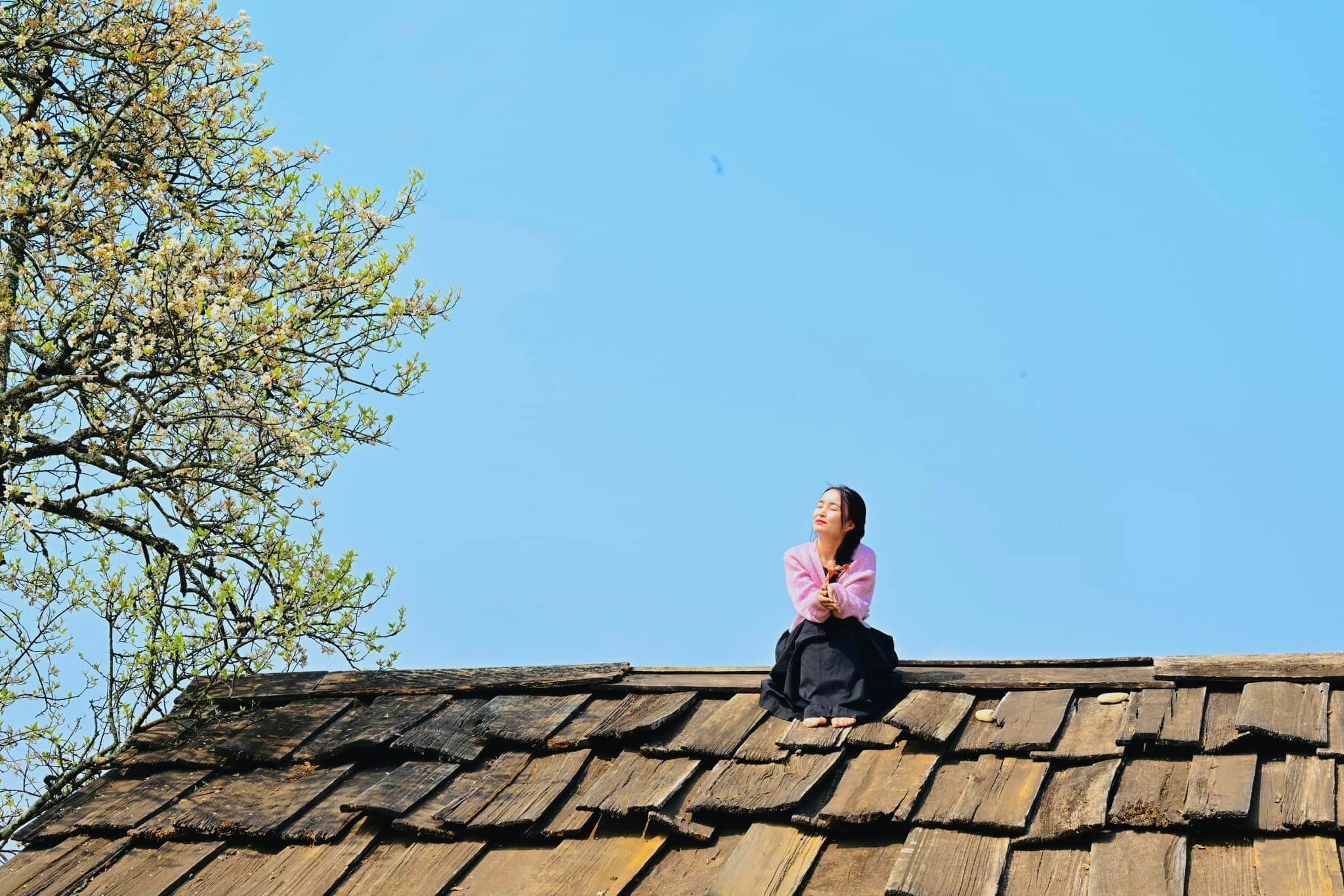 Du khách leo mái nhà để chụp ảnh cùng hoa sơn tra - 4