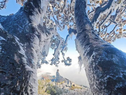 Chuyện hay - Băng tuyết phủ trắng từng 'cành cây ngọn cỏ' trên đỉnh núi Lào Cai