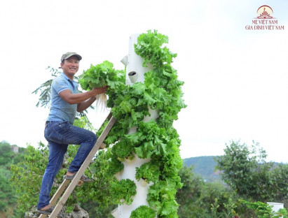  - Làm vườn rau không giống ai, chàng nông dân bắc thang hái tiền triệu mỗi ngày