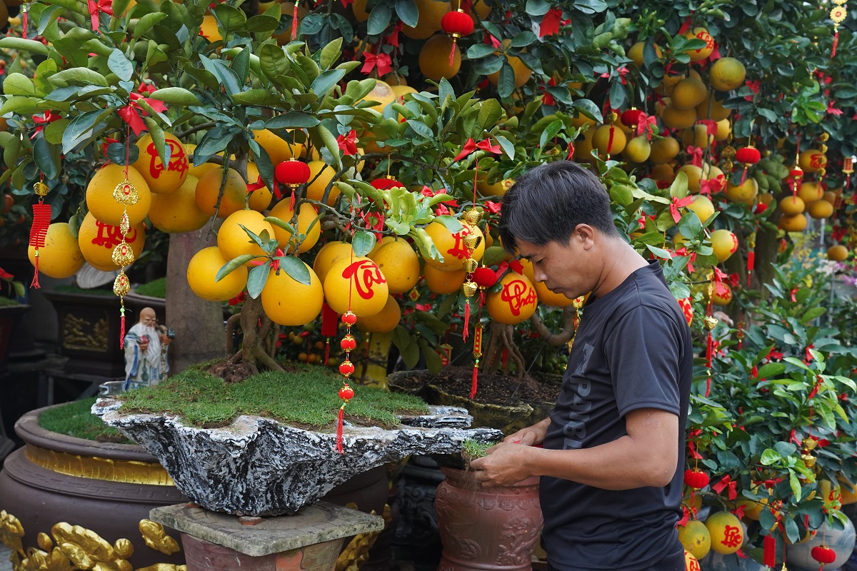 hoa kieng tet, bonsai ‘doc la’ do bo xuong pho - 14