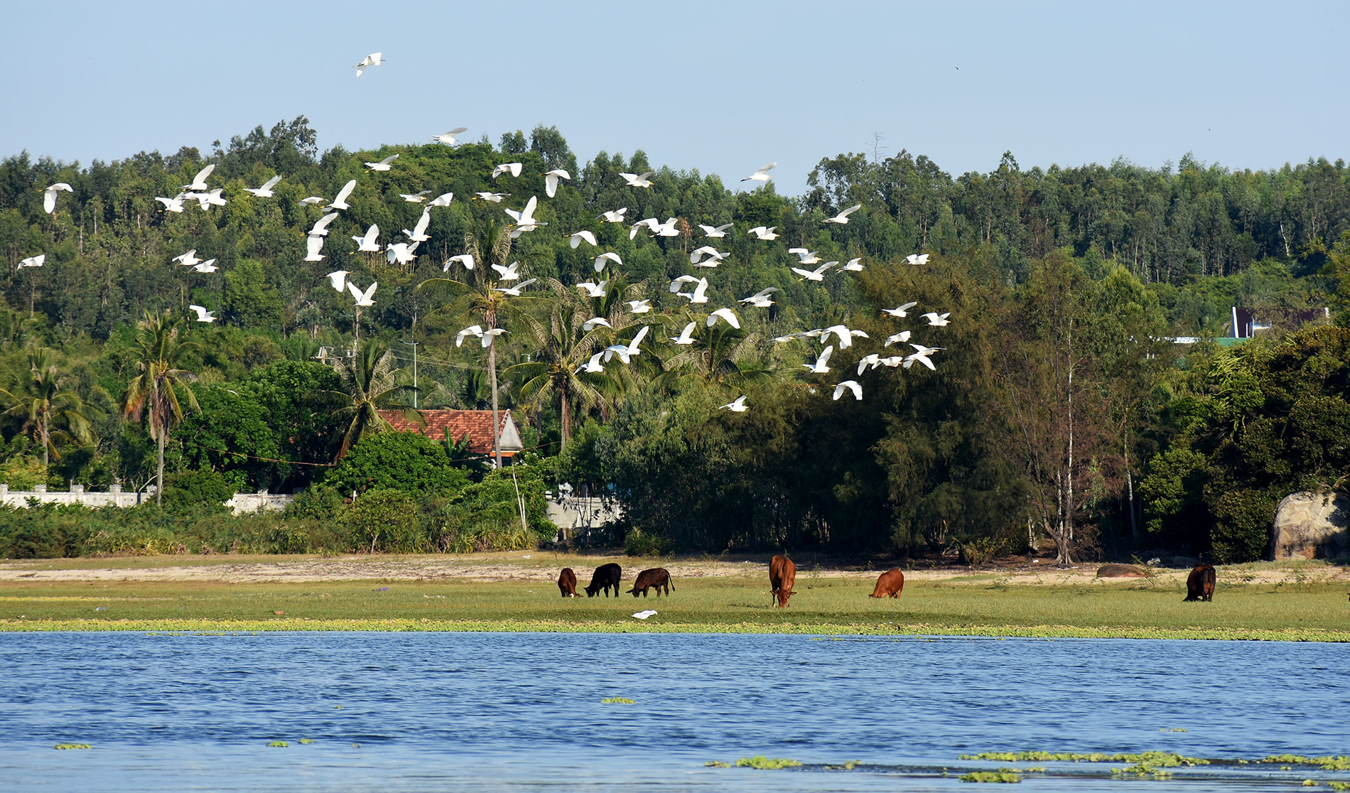 say dam di san van hoa sa huynh - 3