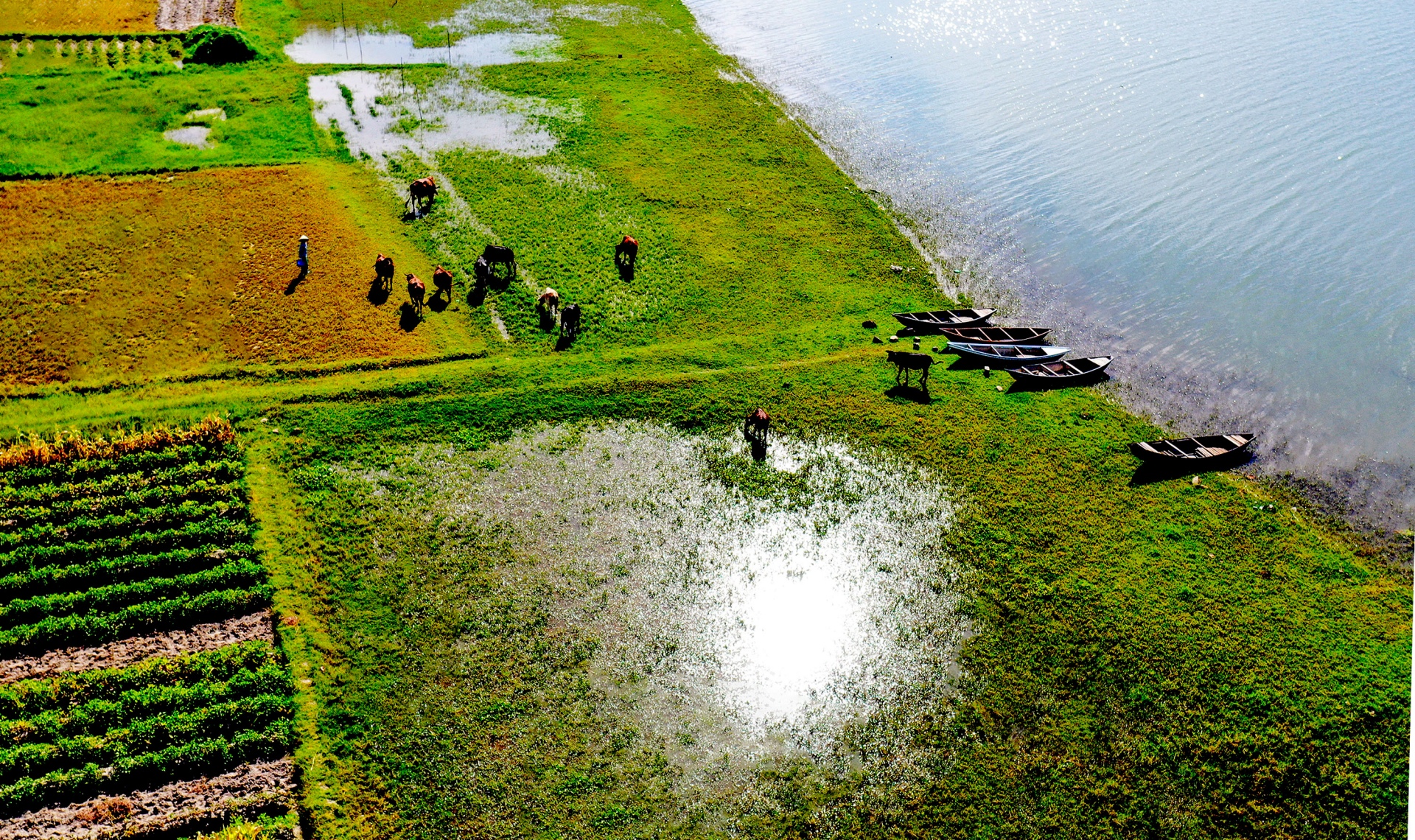 say dam di san van hoa sa huynh - 8