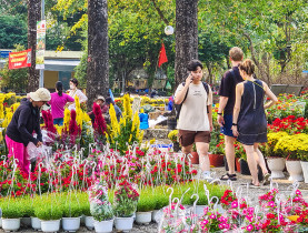  - Giá vận chuyển bất ngờ tăng cao, hoa kiểng chưng tết năm nay nhích giá