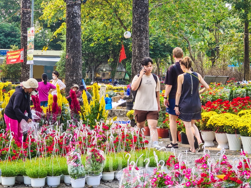 Giá vận chuyển bất ngờ tăng cao, hoa kiểng chưng tết năm nay nhích giá - 1