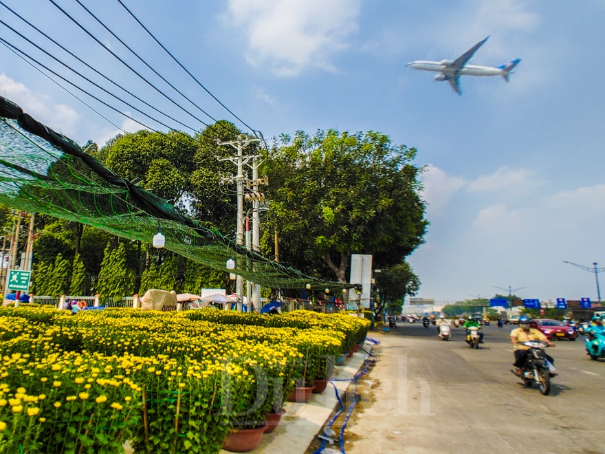 Giá vận chuyển bất ngờ tăng cao, hoa kiểng chưng tết năm nay nhích giá - 7