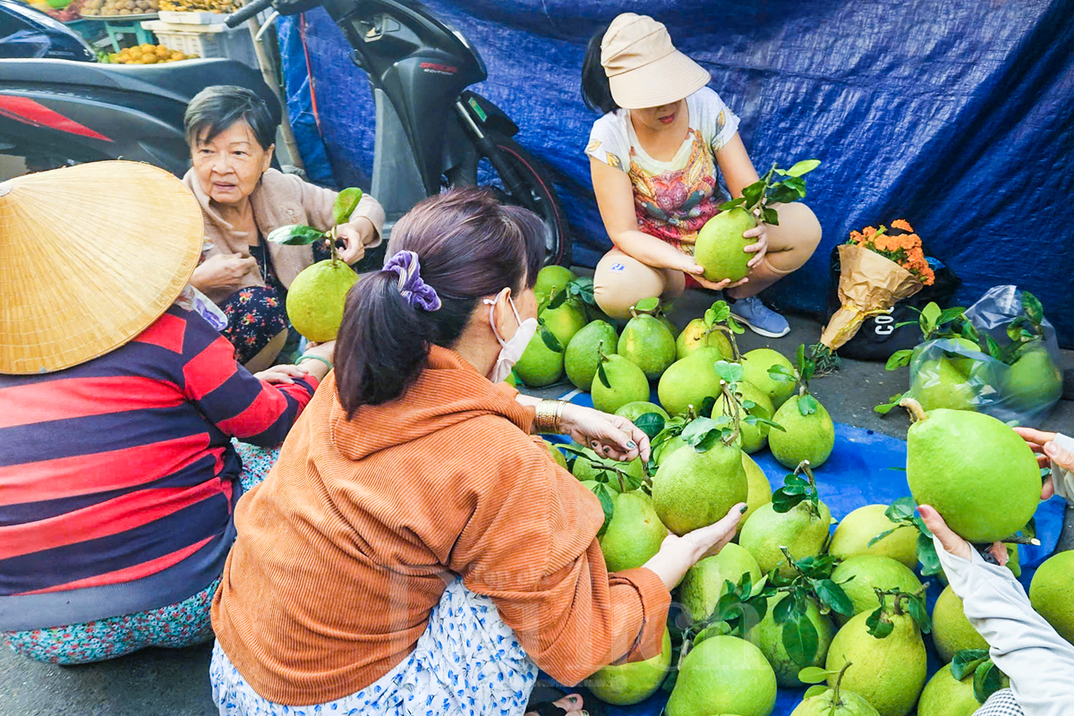 Người dân đi chợ sắm lễ vật, ra sông thả cá tiễn ông Táo về trời - 9