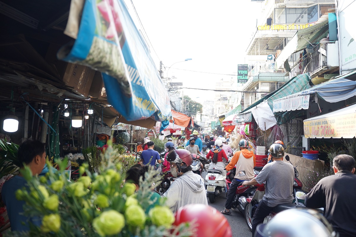 tet nam 2025: tap nap mua hoa tet, tuyet mai 'len ngoi' - 1