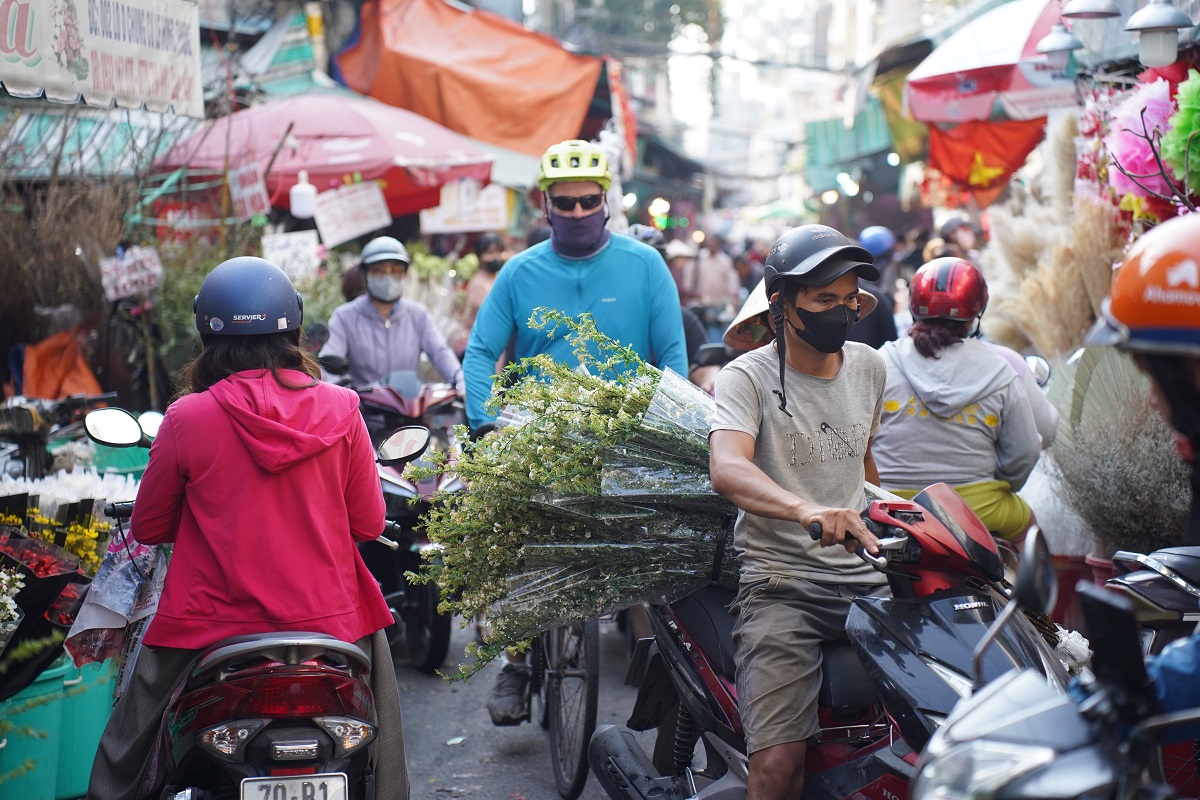 tet nam 2025: tap nap mua hoa tet, tuyet mai 'len ngoi' - 5