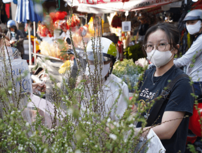  - Tết Ất Tỵ 2025: Tấp nập mua hoa tết, tuyết mai 'lên ngôi'