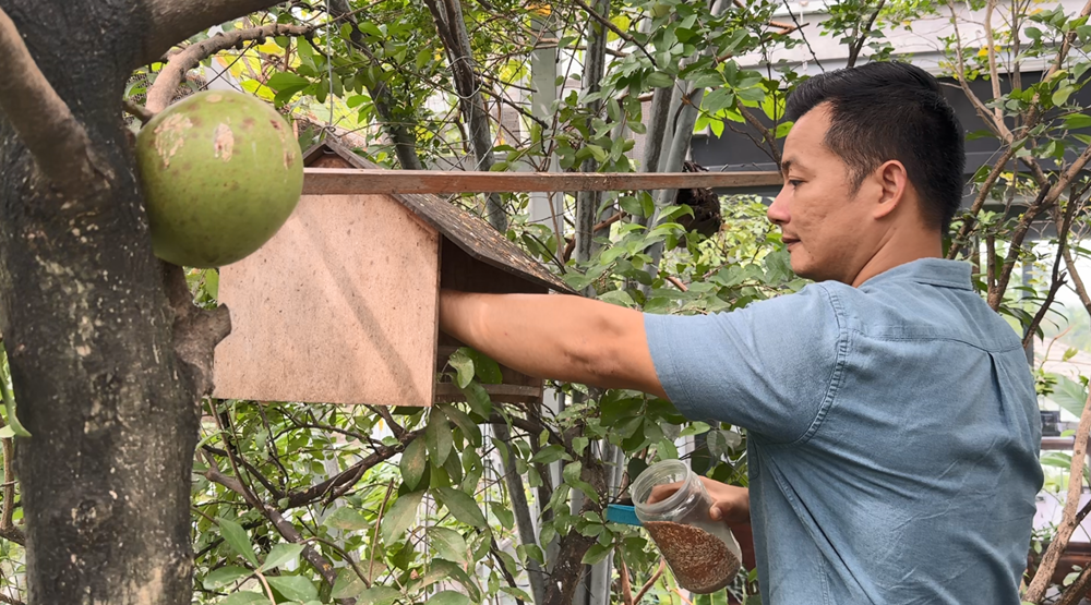 Vườn chim trên nóc nhà trị giá hàng trăm triệu đồng của chàng kỹ sư xây dựng - 8