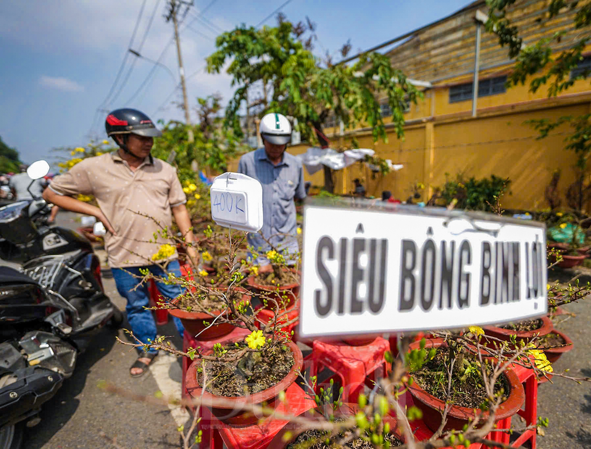 Bông kiểng rớt giá, người mua vẫn đắn đo - 3