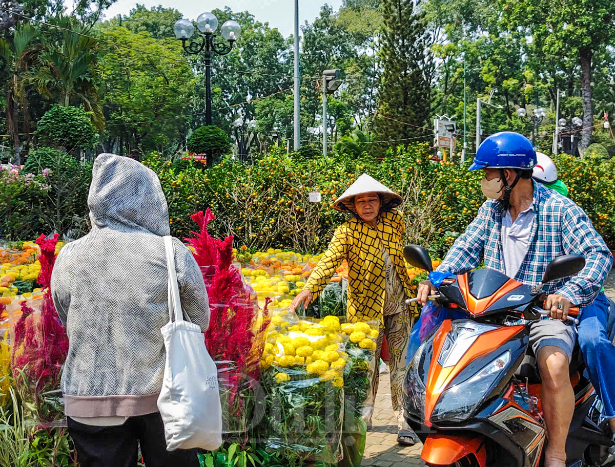 Bông kiểng rớt giá, người mua vẫn đắn đo - 5