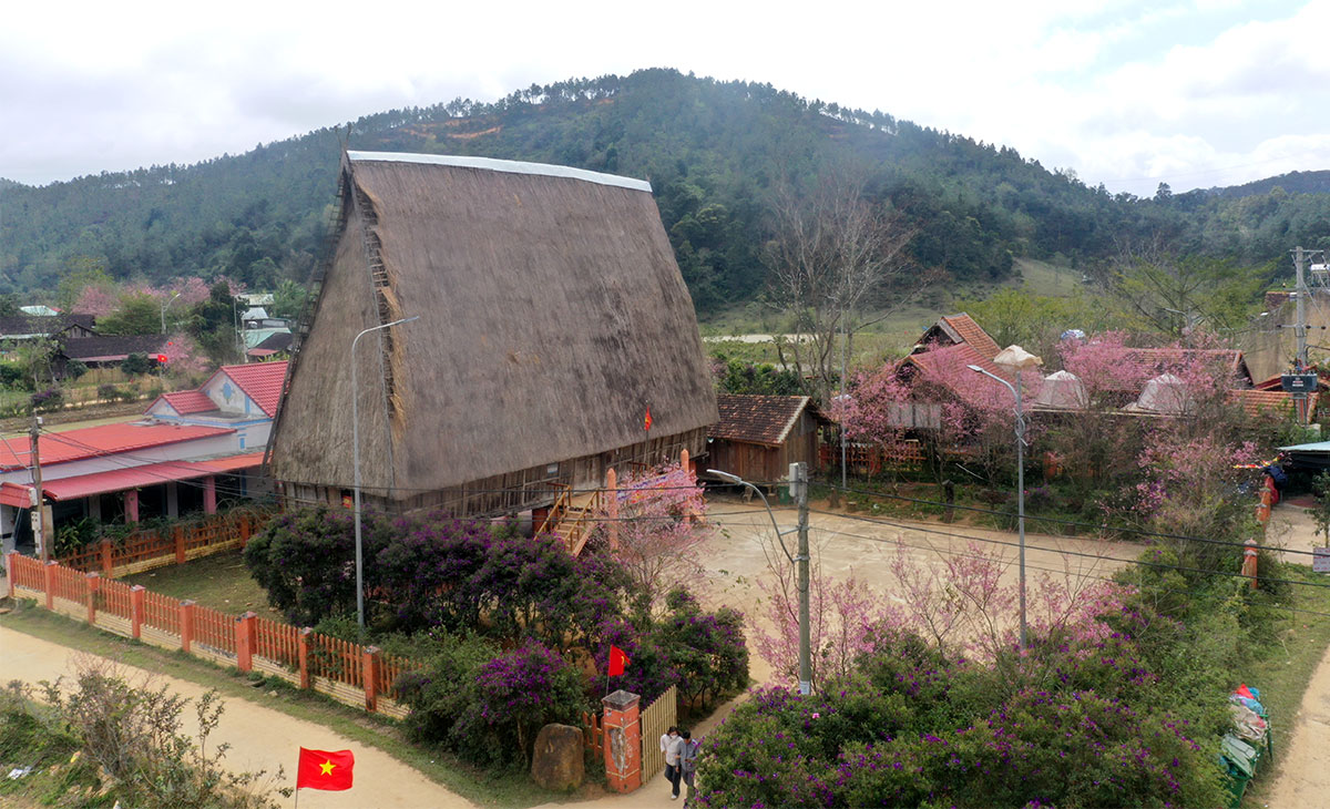 du khach nuom nop do ve mang den ngam hoa mai anh dao - 18