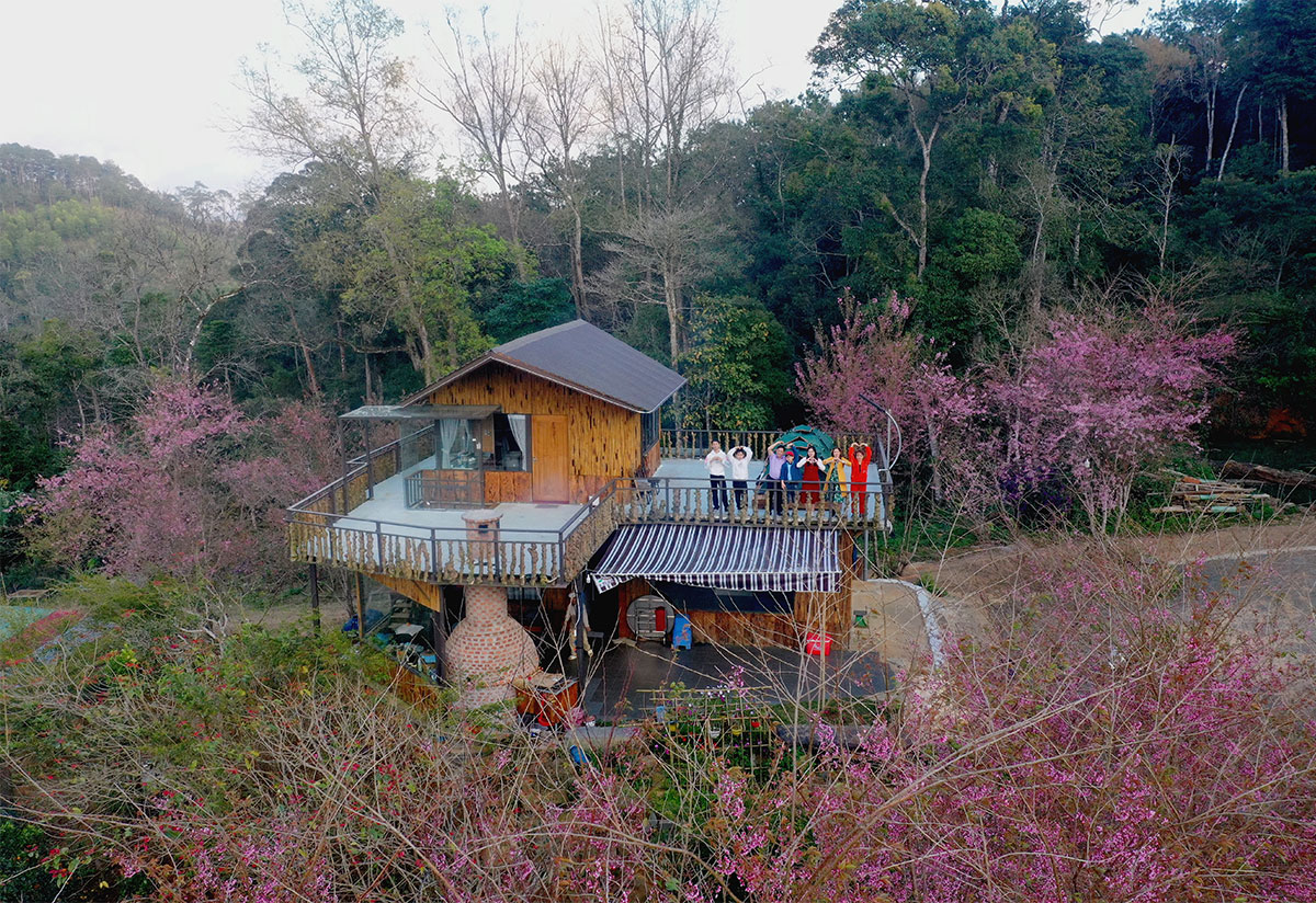 du khach nuom nop do ve mang den ngam hoa mai anh dao - 7