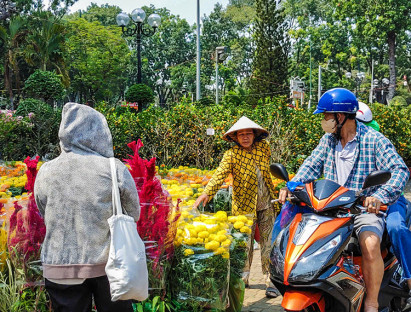 Chuyển động - Bông kiểng rớt giá, người mua vẫn đắn đo