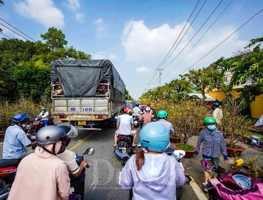 Bông kiểng rớt giá, người mua vẫn đắn đo - 8