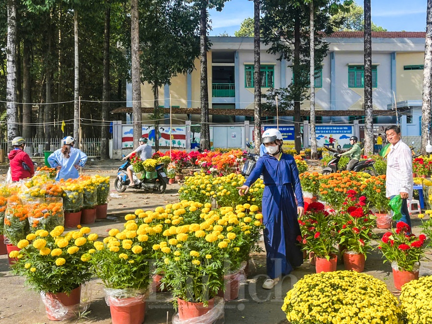 Bông kiểng rớt giá, người mua vẫn đắn đo - 13