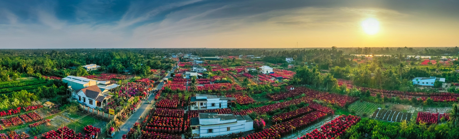 lang hoa giay phu son ruc ro sac xuan - 'lam 10 ngay nuoi 1 nam' - 7