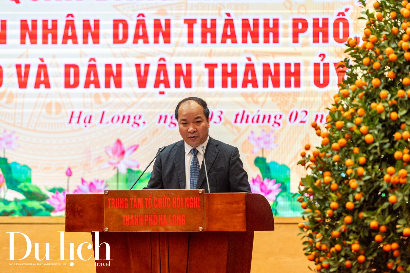 cong bo thanh lap ban tuyen giao va dan van thanh uy ha long - 1