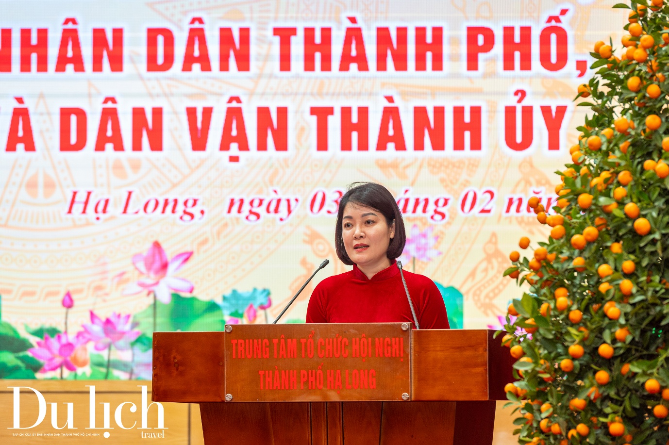 cong bo thanh lap ban tuyen giao va dan van thanh uy ha long - 6