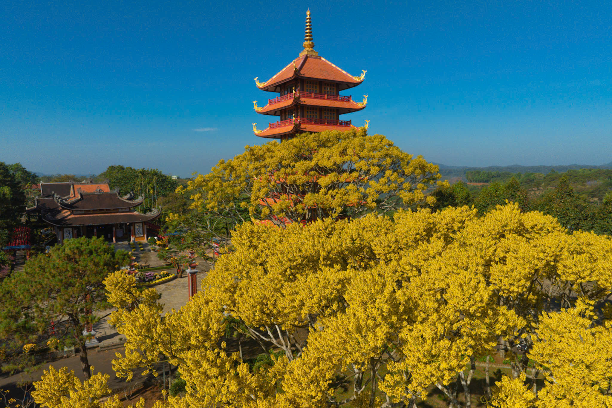 ngam phuong vang duoi mai bat nha - 1