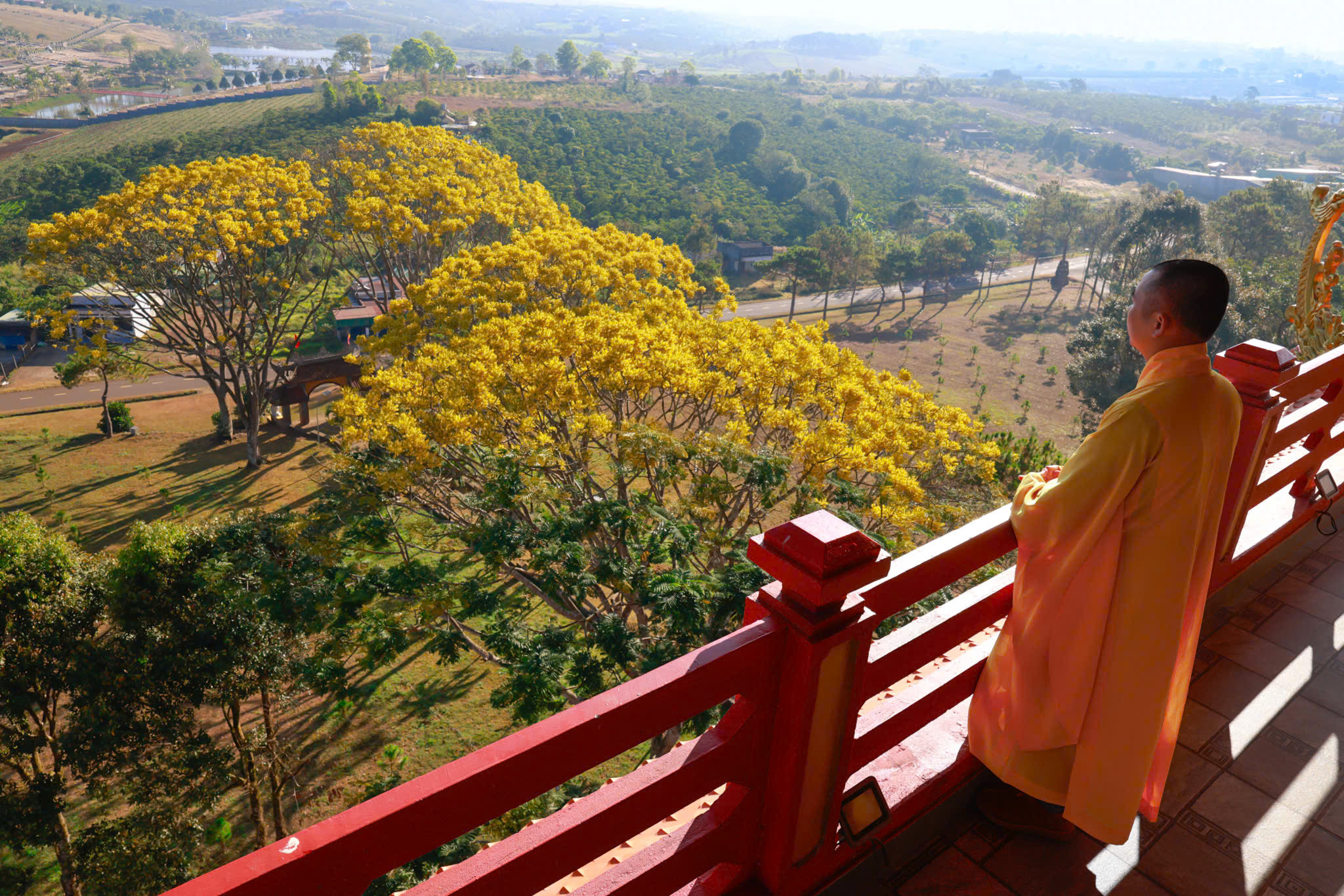 ngam phuong vang duoi mai bat nha - 5