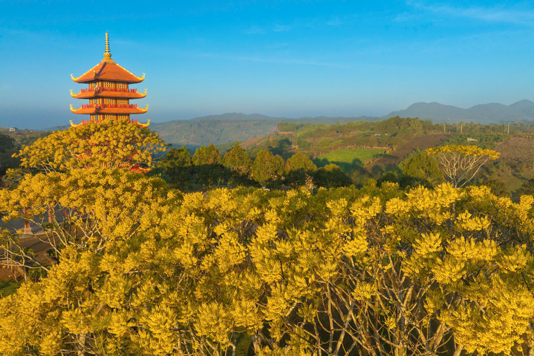 ngam phuong vang duoi mai bat nha - 10