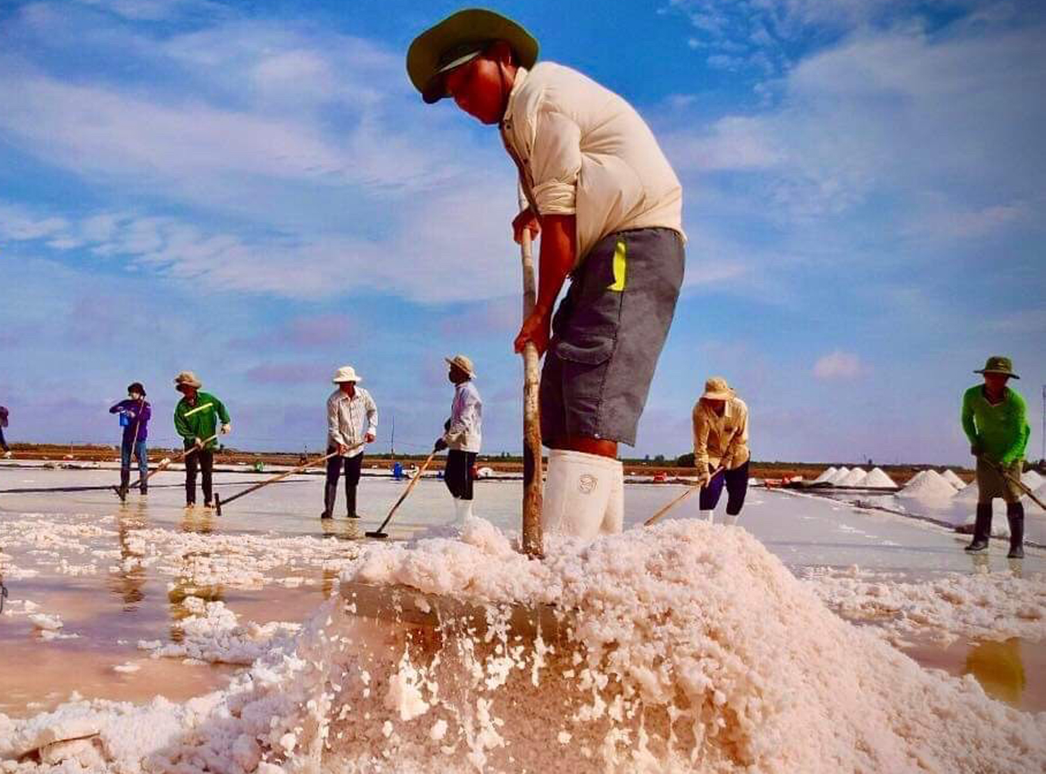 Sắp diễn ra Festival nghề Muối Việt Nam tại Bạc Liêu - 1