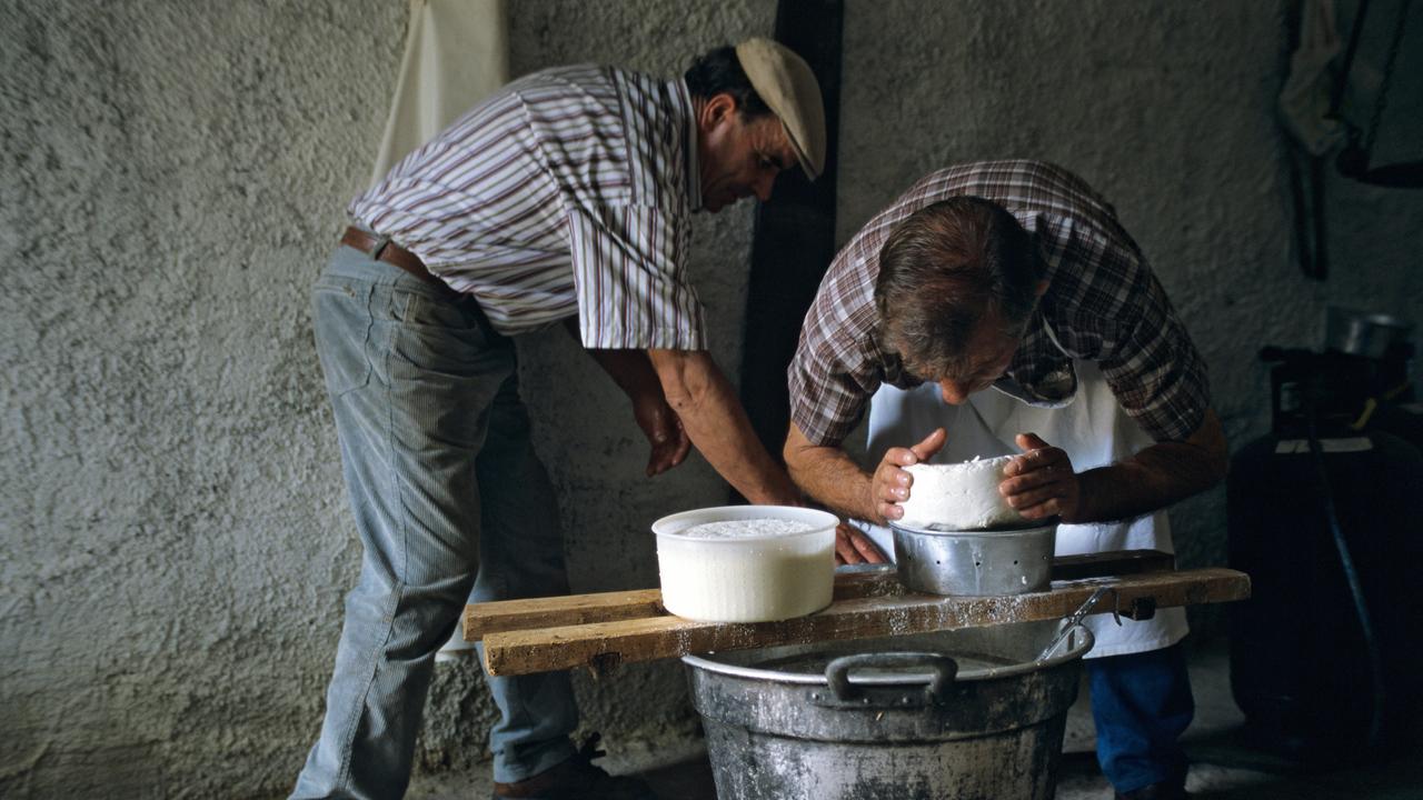 casu marzu: huong vi tu than hay mon qua tu thuong de? - 6