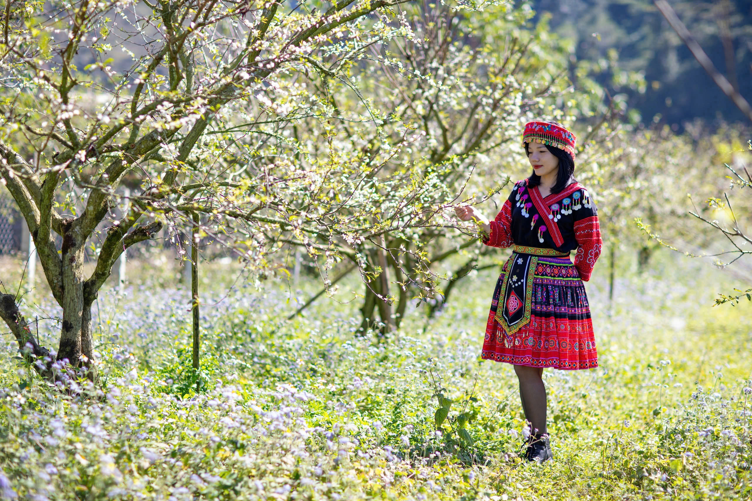 Đầu năm 2025: Khách quốc tế đến Việt Nam tăng đột biến, “cháy tourguide” - 2