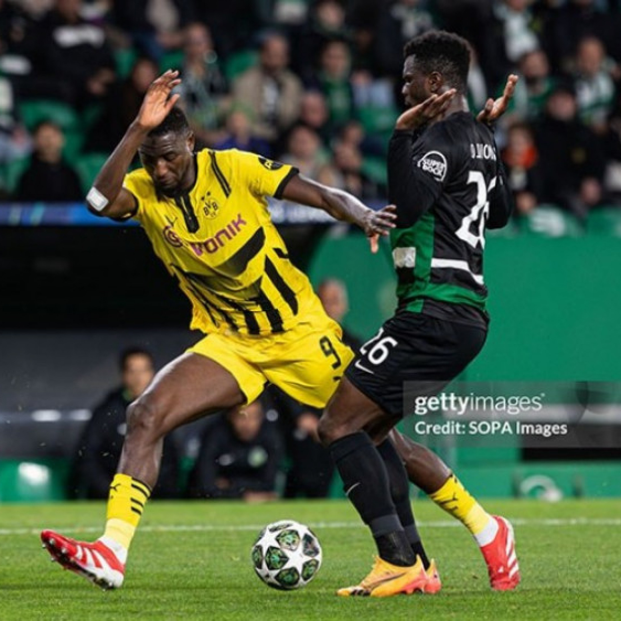  - Trực tiếp bóng đá Dortmund - Sporting Lisbon: Chủ nhà có sự ủng hộ từ lịch sử (Cúp C1)