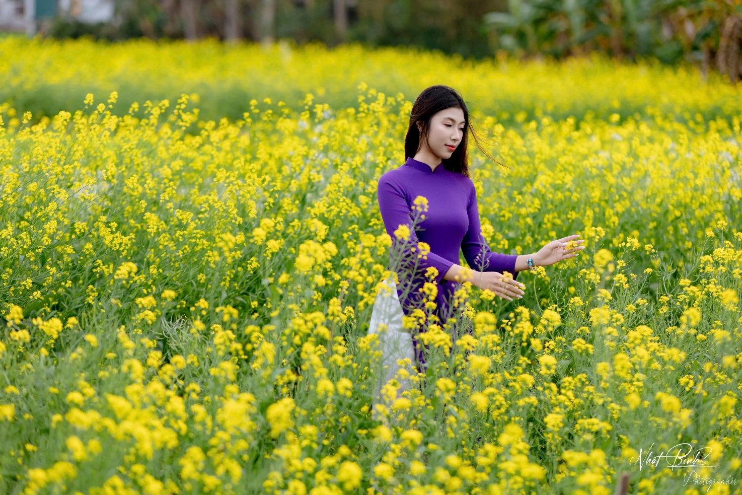 Tà áo dài tím gửi thương nhớ vào mùa hoa cải - 13