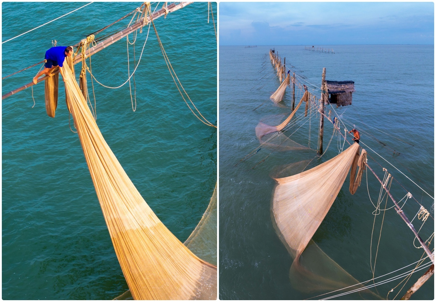 nhoc nhan muu sinh tren nhung day hang khoi - 5