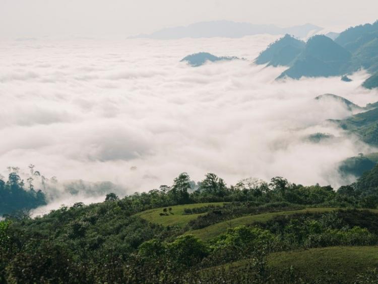 Chốn săn mây huyền ảo giữa đại ngàn Sơn La