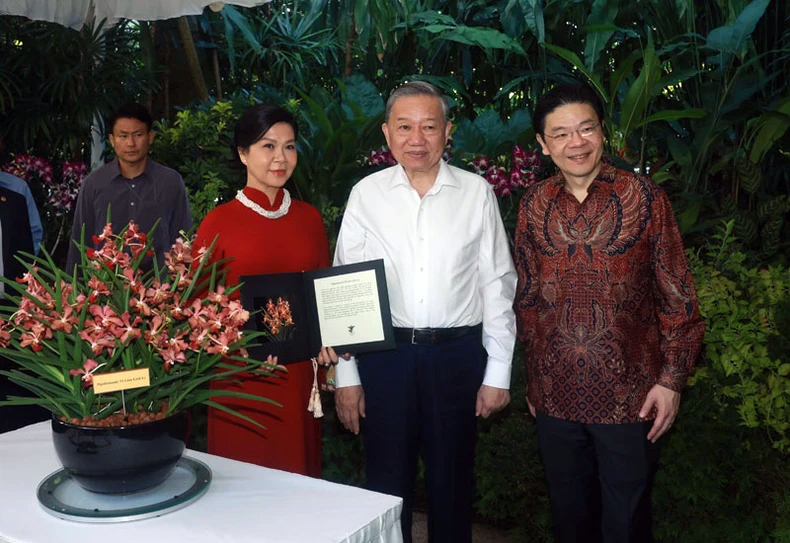 Singapore đặt tên hoa lan theo tên Tổng Bí thư Tô Lâm và Phu nhân - 1