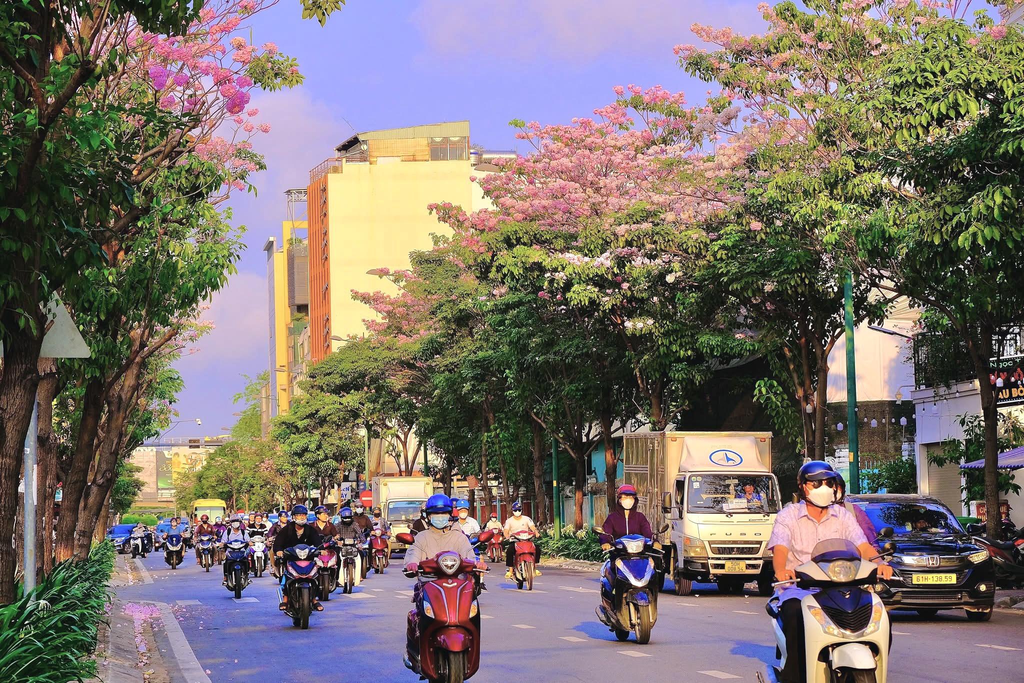 Người Sài Gòn nô nức check-in chiếc view một năm có một lần - 1