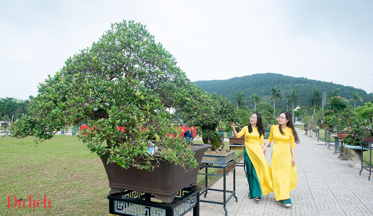 trung bay cay canh, da canh doc dao chao mung 50 nam ngay giai phong - 1